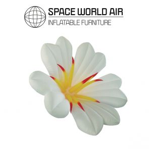 RENTAL-LILIUM CANDIDUM FLOWER 2 / 3 M