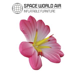 RENTAL -PINK LILIUM CANDIDUM 2 M