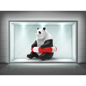 RENTAL PANDA 3.5 MT