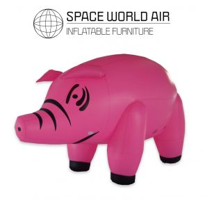 PVC PIG -  3 M