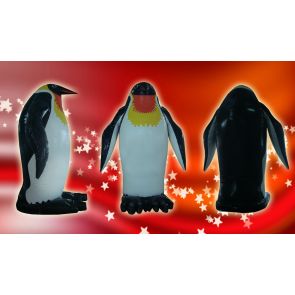 PENGUIN from 3 to 6 M